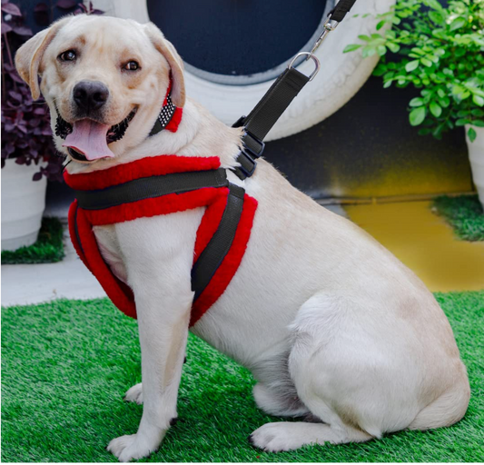 Dog Fur Harness, Collar & Leash Set, Adjustable Size | for 24-35 Kilogram Dogs (L, Black-RED)