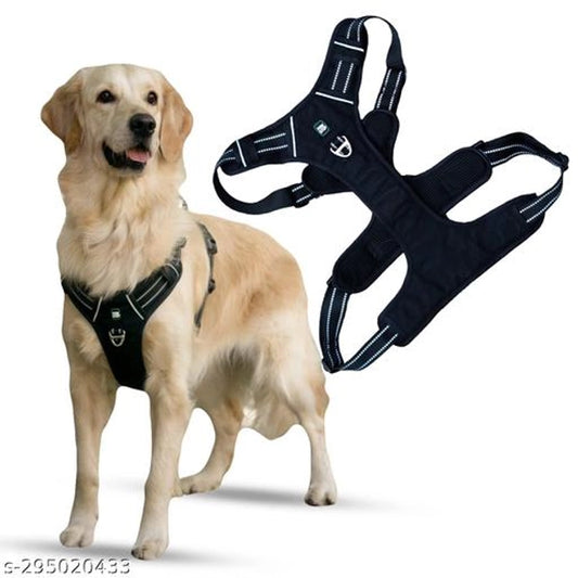 Nylon Dog Harness (Multicolor)