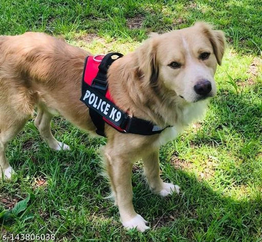 Comfort Step in Dog Harness Easy to Put on Dog Harness Choke Free Adjustable Pet Vest No Pull Outdoor Sport Vest Harness Reflective Soft Padded Vest (Large, Red)